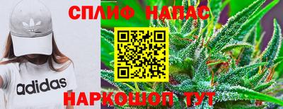 индика Кунгур
