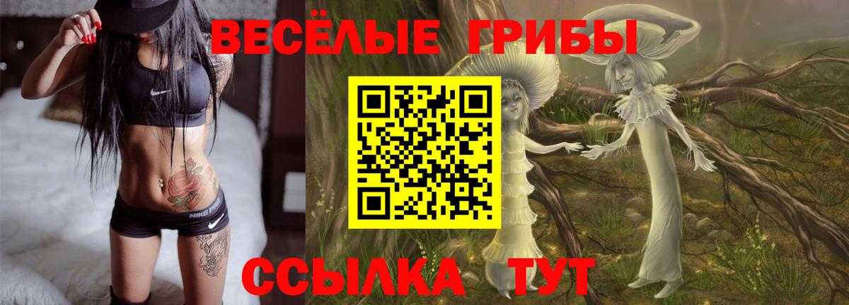 Галлюциногенные грибы мухоморы  Вход с VPN  Кингисепп 
